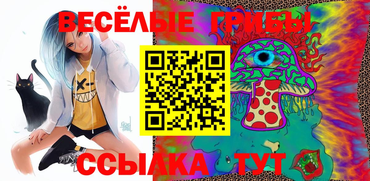 Псилоцибиновые грибы GOLDEN TEACHER Северобайкальск
