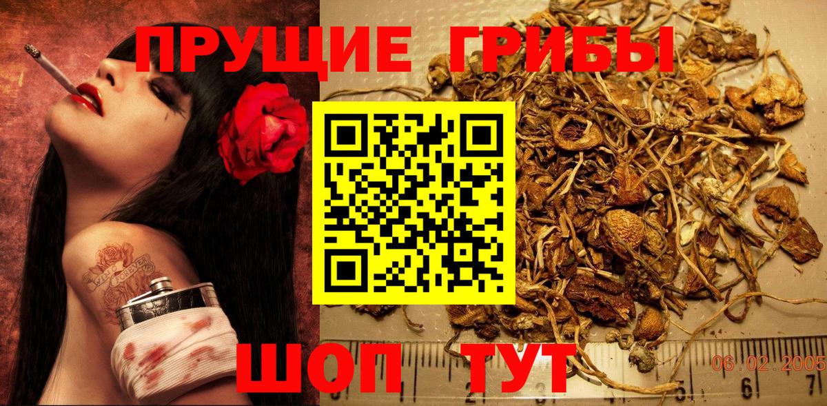 Галлюциногенные грибы мухоморы  Галлюциногенные грибы прущие грибы  Северобайкальск  Вход с VPN 